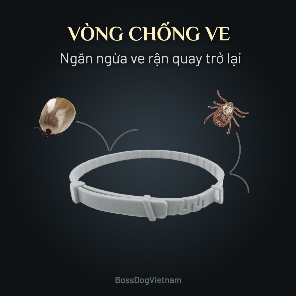 Vòng ngăn ngừa ve, rận cho cún - Phòng tránh ký sinh trùng máu BossDog