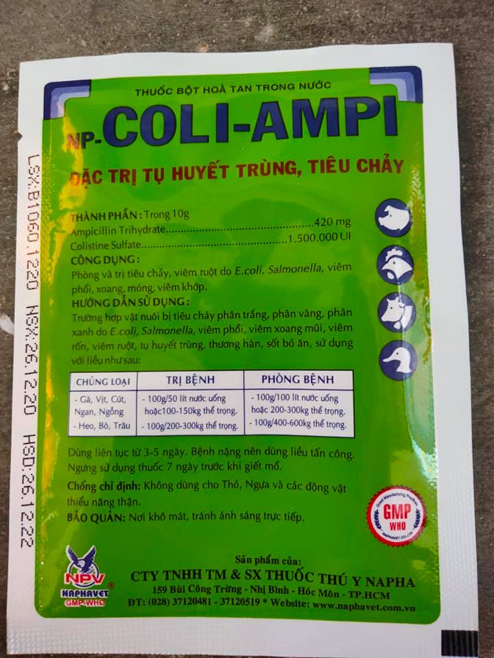 Coli ampi gói 100g ampicolis tụ huyết trùng, tiêu chảy