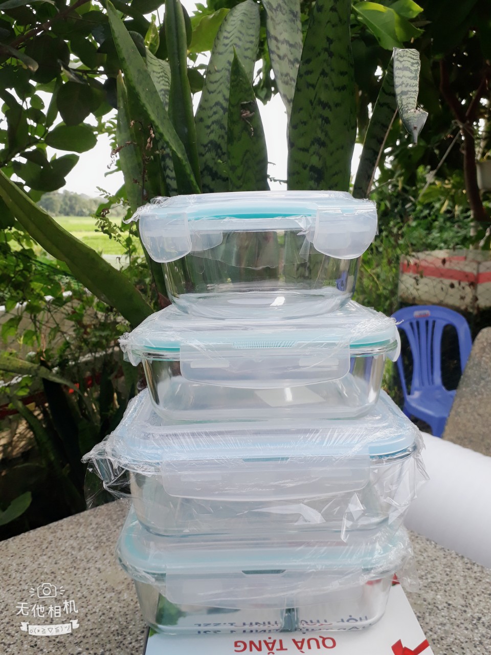 Hộp thủy tinh thủy tinh đựng thực phẩm_hộp đựng cơm thủy tinh văn phòng