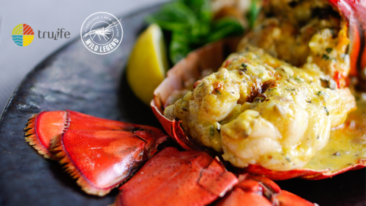 Tôm Hùm Đá NAm Úc Đông Lạnh size 800g - 1 kg