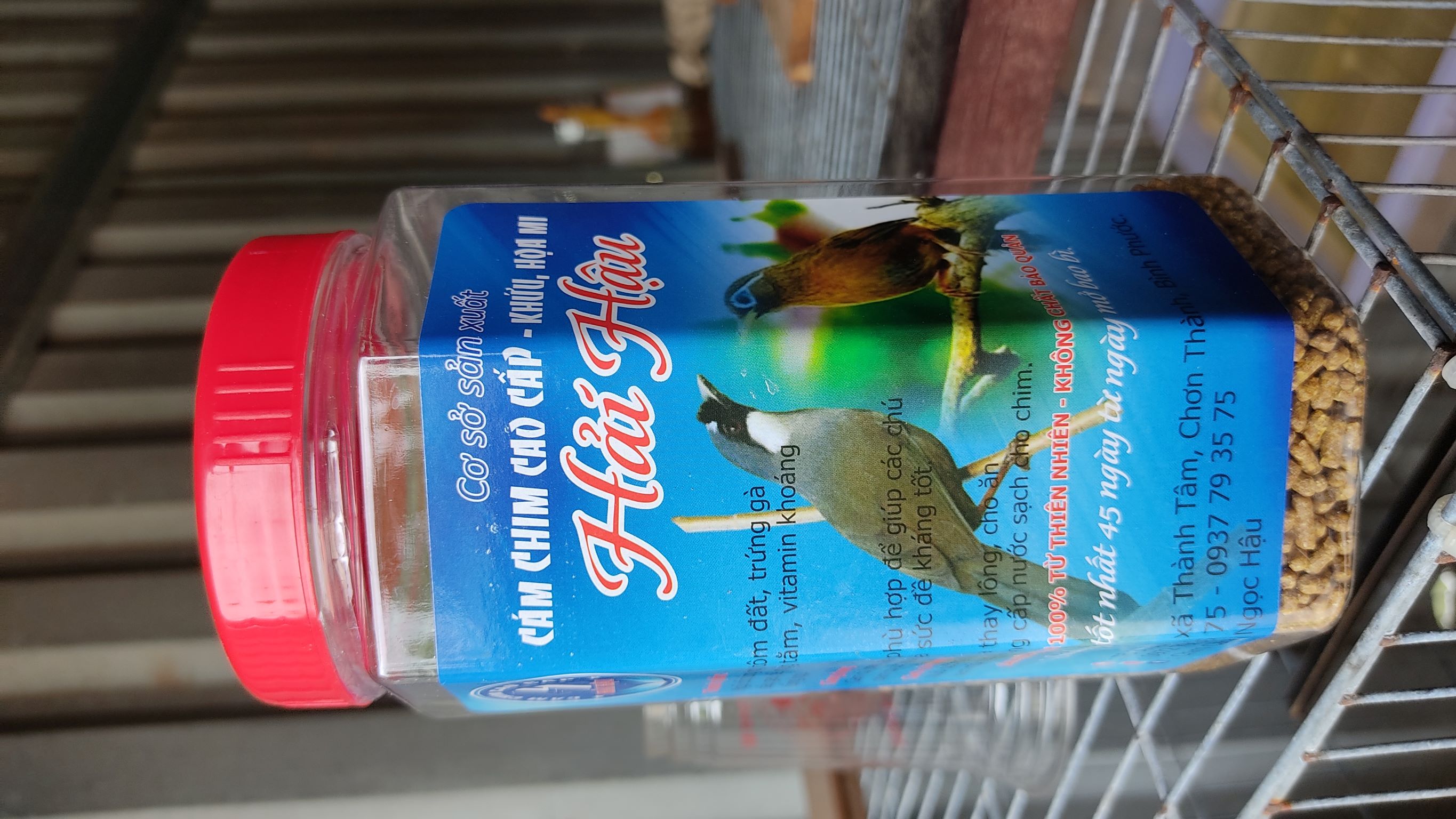 CÁM CHIM MI KHƯỚU CAO CẤP HẢI HẬU