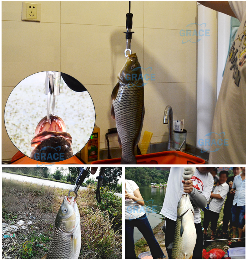 รูปภาพรายละเอียดของ 【Faswin】อุปกรณ์ตกปลา คีมสำหรับตกปลา ครีมจับปากปลา กิ๊บตกปลา กริปเปอร์ คีมปลดเบ็ดปลา ที่คีบปลา คิบเปอร์จับปลา คลิปเปอร์ตกปลา คิปเปอร์จับปลา กิ๊ปเปอร์ตกปลา คีปเปอร์จับปลา กิปเปอร์ คริปเปอร์ คีบเปอร์จับปลา อุปกรณ์ตกปลาคบชุด Fish Gripper Fishing Tool