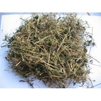 Dây - lá khổ qua rừng khô