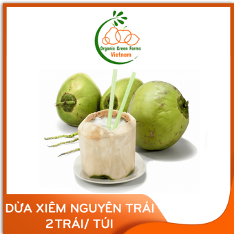 Dừa xiêm nguyên trái (trái/gói) - Giao nhanh HCM
