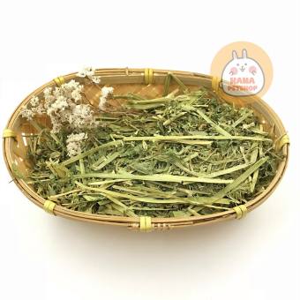 Cỏ Alfalfa 🐹FREESHIP🐹 1KG Nhiều Lá Ít Vụn Ít Bụi Cắt Sẵn 10 CM Cỏ Khô Alfalfa Thức Ăn Cho Thỏ, Bọ, Chinchillas
