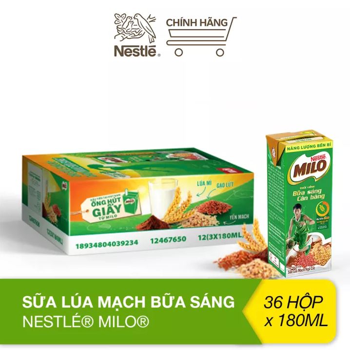 Sữa lúa mạch Nestle Milo bữa sáng thùng 36 hộp x 180ml