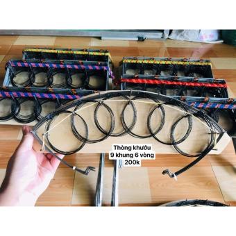 thòng khướu. mi. chào mào.