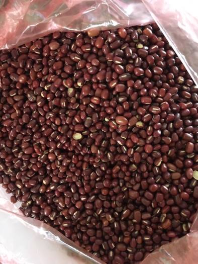 1kg hạt đậu đỏ hạt nhỏ