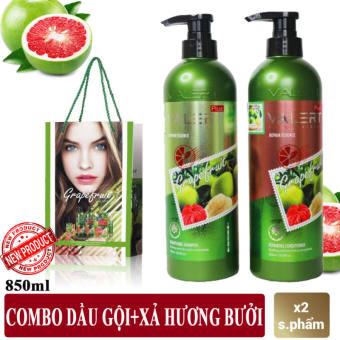 Bộ Dầu Gội-Dầu Xả Grapefruit Plus ,Cặp Dầu Gội Xả Bưởi, Com Bo Dầu Gội Xả Cao Cấp. Ngăn Ngừa Rụng Tóc và Nấm Ngứa Da Đầu, Phục Hồi Tóc Hư Tổn,Khô Xơ và Chẻ Ngọn Giúp Tóc Chắc Khỏe, Sáng Bóng, Mềm Mượt. Giá Cực Sốc, Hãy Mua Ngay!