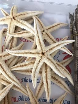 10 con sao biển. Sao biển ngâm rựu