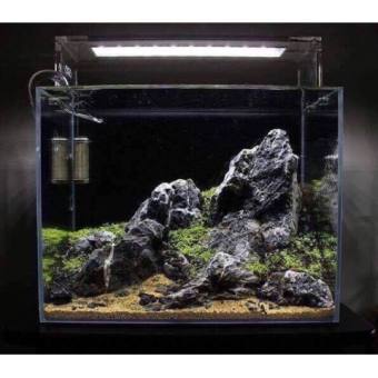 Đá Kẹp Kem (1kg) Cho Bể Thuỷ Sinh