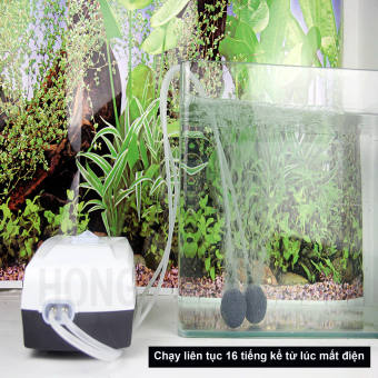 Máy sủi oxy tích điện 2 vòi ĐỀ PHÒNG CÚP ĐIỆN hiệu JEBO 9950 thích hợp cho hồ cá cảnh, hồ thủy sinh và đi câu cá,. Bảo hành uy tín bởi LYLYSHOP