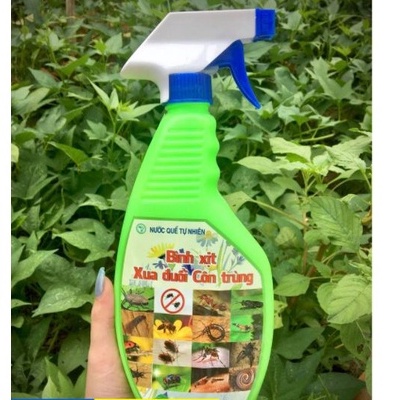 Bình 500ml xịt thảo mộc xua đuổi muỗi, kiến, gián, côn trùng hương quế tự nhiên, hiệu quả