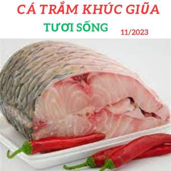 Cá trắm khúc giữa giao nhanh 2h. giảm 30k cho đơn từ 350k.