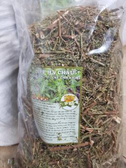 Cây chó đẻ (gói 0,5kg) - Diệp hạ châu (cây cam kiềm - cây răng cưa) men gan cao, gan nhiễm mỡ, máu nhiễm mỡ, xơ gan