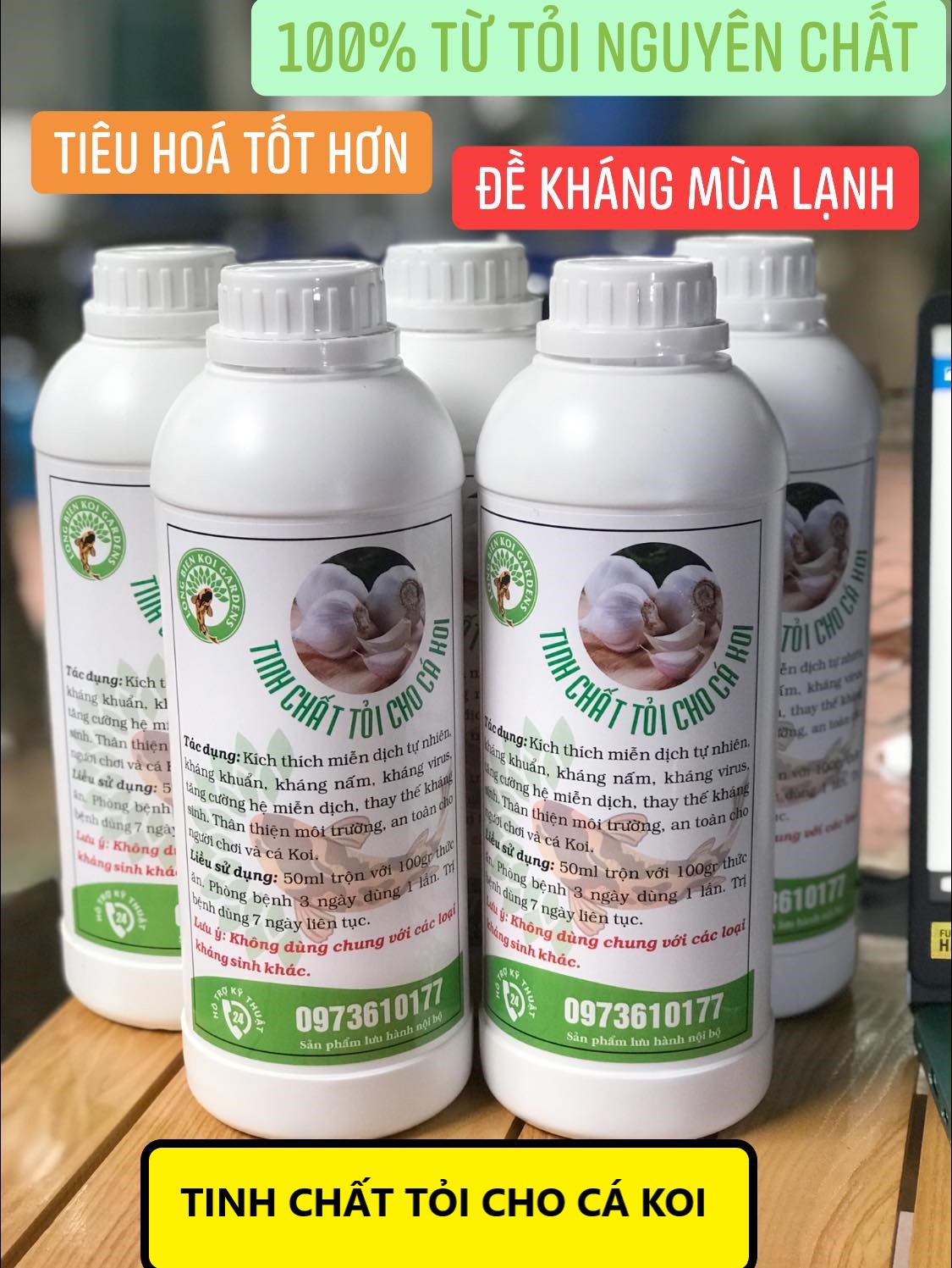 Tinh chất tỏi, thảo dược cho cá koi
