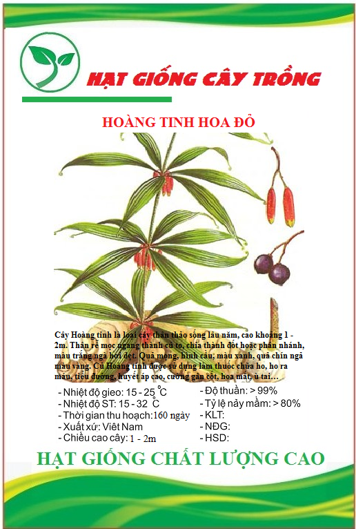 Hạt giống cây hoàng tinh hoa đỏ - gói 10 hạt