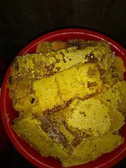 Mật ong khoái nguyên tổ