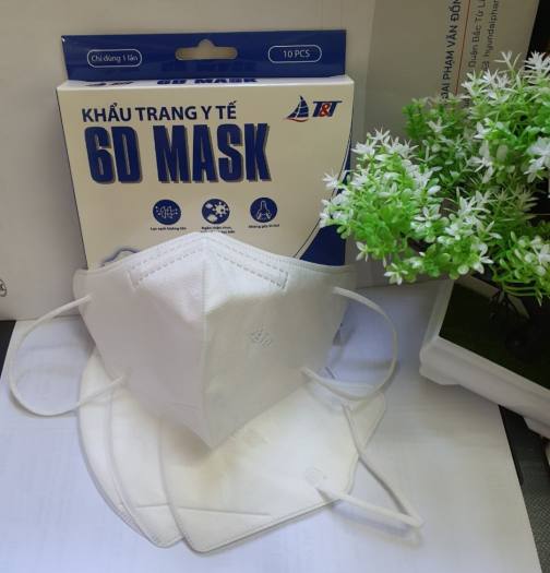 Hộp 10 chiếc khẩu trang 6D mask (đeo thoáng và êm)