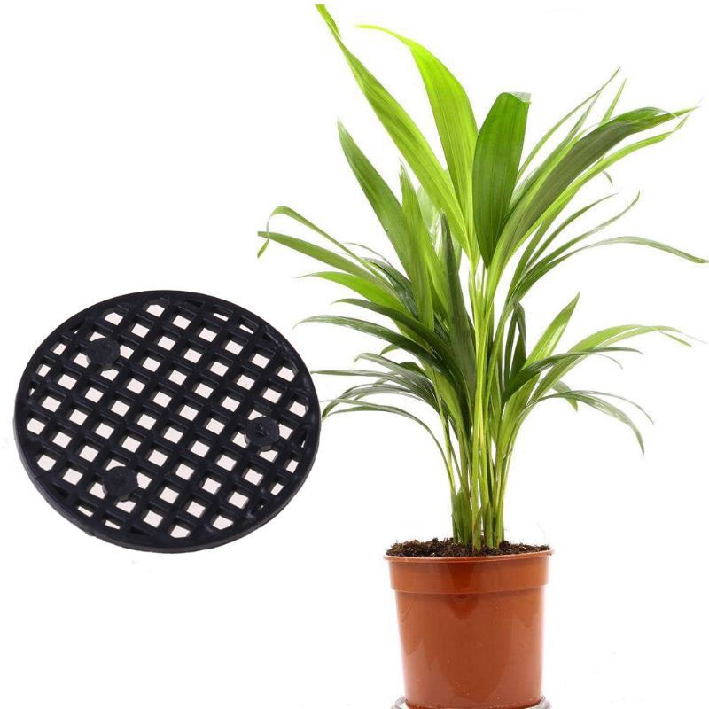 Lưới đục lỗ lót đáy chậu tròn 2.5cm -4.5cm-7.5cm + đất trồng bonsai