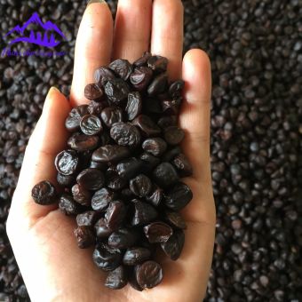 Gói 10 hạt dổi nếp rừng cổ thụ Tây Bắc loại 1 (nhỏ, thơm). Gia vị hạt dổi nếp, mắc khén hạt dổi, hạt dỗi, hạt rổi