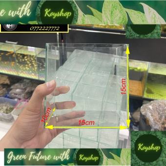 Hồ kính nuôi Betta, Keo Betta KT 15x10x15cm - kính 4 li dán giấu keo