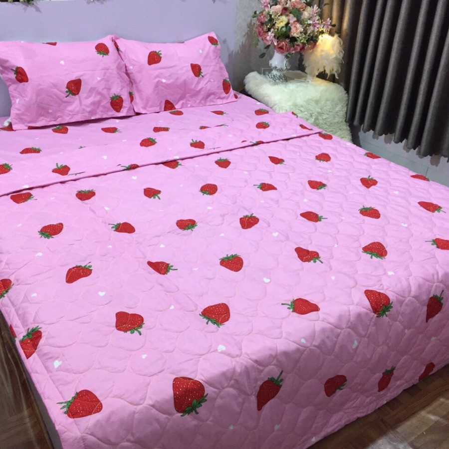 Ga Kèm 2 Vỏ Gối Nằm Set Ga Gối Cotton Poly Bộ Ga Gối 3 Món Drap Giường Ga Giường Đủ Kích Thước M2/M6