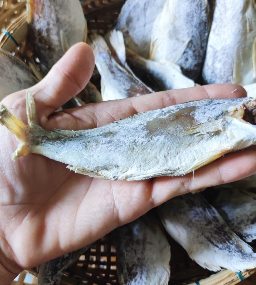 Khô lù đù, khô cá mặn, loại to, dùng kho lạc , chiên giòn ăn với cơm