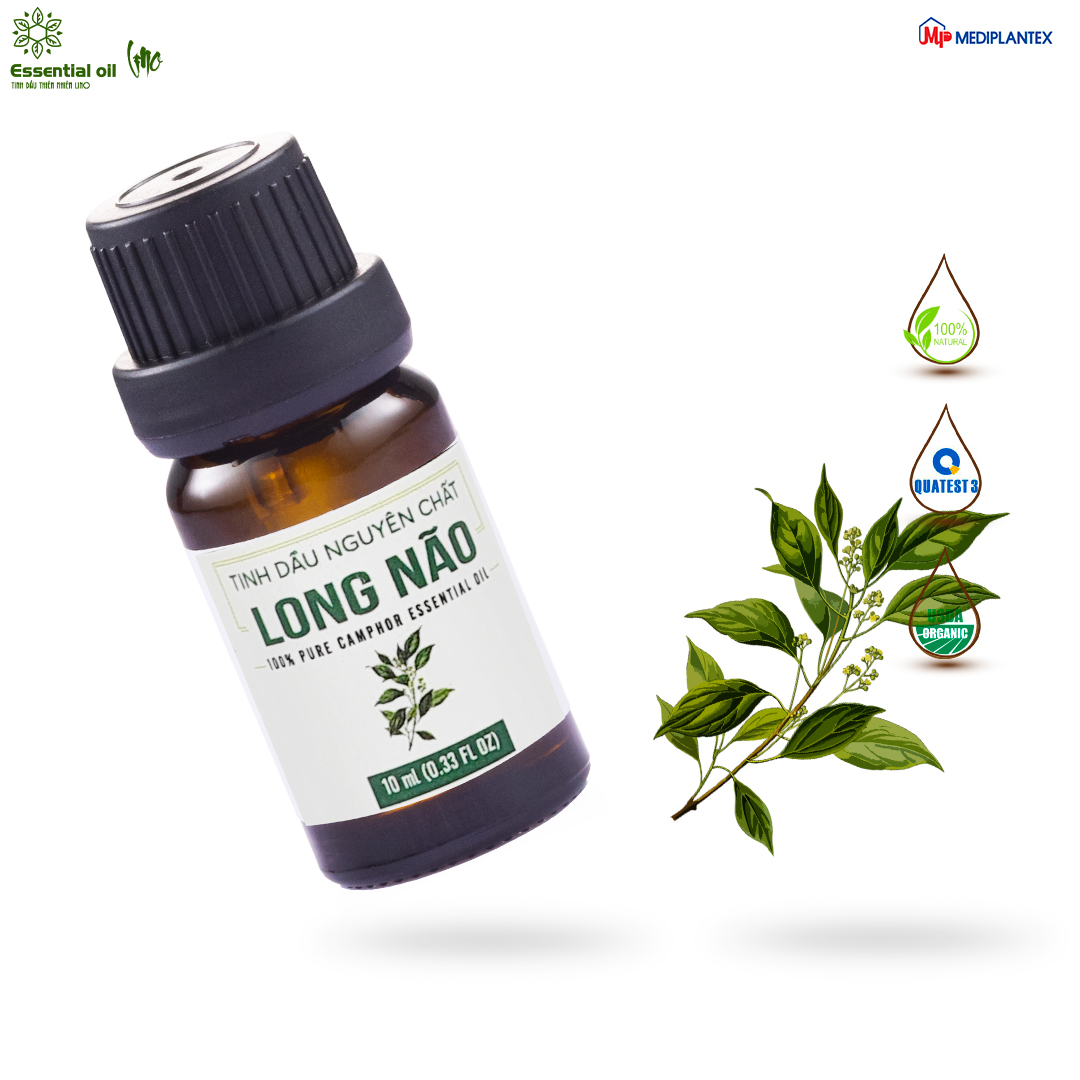 Tinh dầu thiên nhiên long não LINO 10ml, tinh dầu nguyên chất từ cty dược Mediplantex