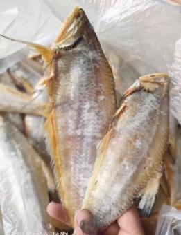 1 Con Khô Cá Lẹp Vàng Đặc Sản Vàng Cà Mau.