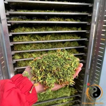 Nụ hoa đu đủ đực khô loại 1 xanh, sạch, thơm sấy lạnh từ hoa đu đủ tươi. Trà hoa đu đủ đực phơi khô ngâm mật ong