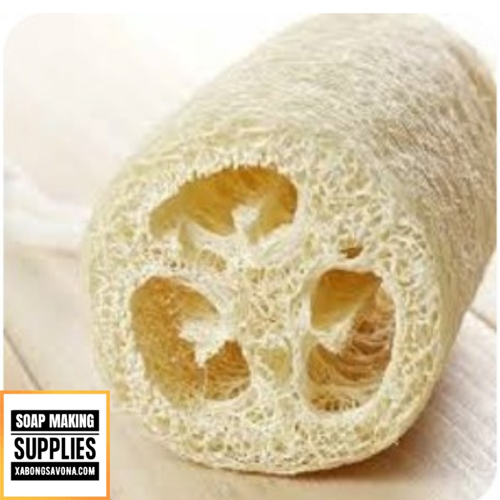 Xơ Mướp Tắm Tẩy Tế Bào Chết, Xơ mướp Rửa Chén, Xơ Mướp Tắm Xà Phòng SavonA