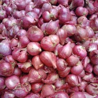 Hành Tím Khô ,tỏi khô SÓC TRĂNG LOẠI 1