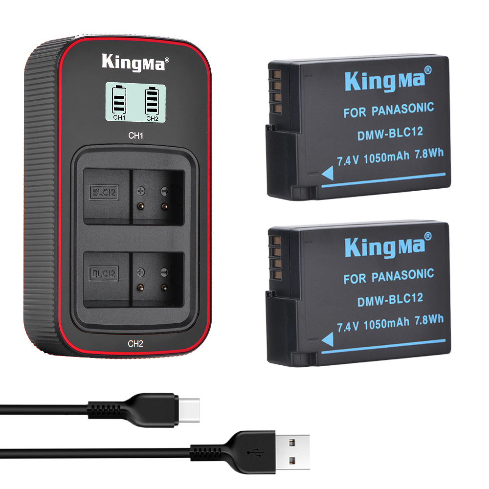 panasonic lumix dc vario charger