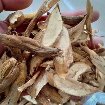 1kg củ gai khô giúp an thai