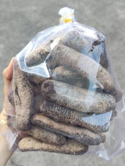 HẢI SÂM KHÔ 1 KG