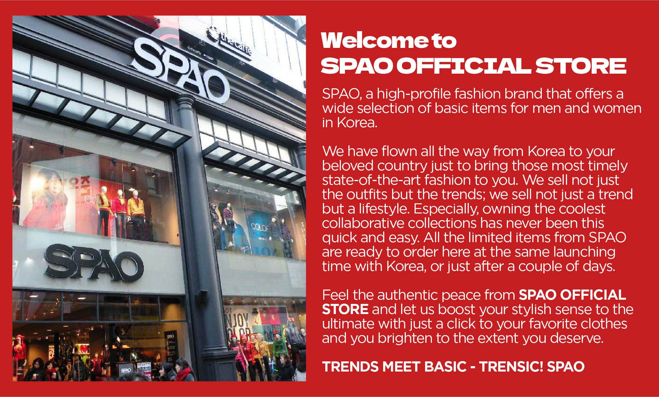 ★人気★【SPAO】★Woodie graphic sweatshir.t★スウェット★ SPAO Woodie Graphic Sweatshirt For Men and Women SPMWC12C13
