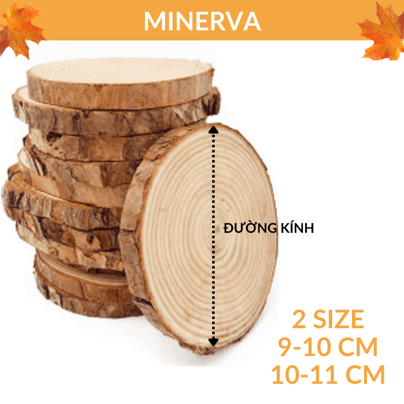 Gỗ lát tròn 9-10 cm trang trí decor, lót ly cốc Minerva