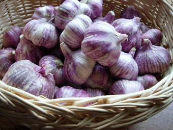 tỏi tím khô bao chuẩn tỏi bắc thơm ngon ( tỏi tím , tỏi bắc , tỏi cô đơn, tỏi lý sơn ...)