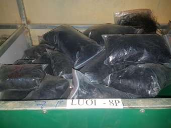 60m Lưới bẫy chim cu, cò, két mỏ đỏ ( 1 tấm lưới mắt 8 phân dài 60m 5 dây 4 túi cao 6m đã thắt chống gió đã nhuộm tàng hình hàng thái lan )