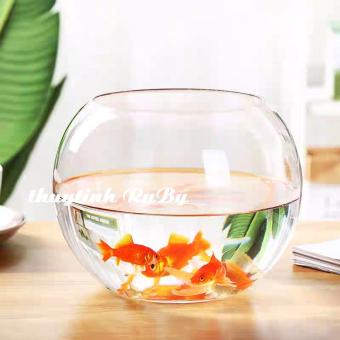 HỒ CÁ MINI THỦY TINH ĐỂ BÀN, BỂ CÁ T01 (D14CM x H12CM), CHẬU CÂY THỦY SINH, Chậu Cây Cảnh