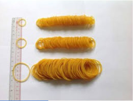 Dây thun khoanh nhỏ / trung / lớn bịch 0.5kg
