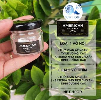 Artemia Mỹ chuyên cho cá con mới nở , betta bột, guppy -