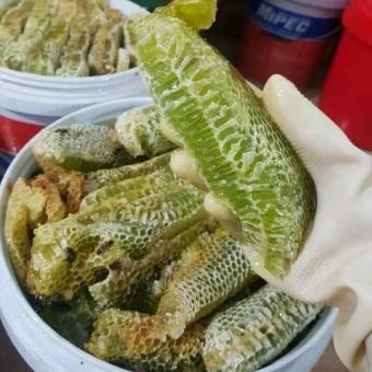 Mật ong rừng bạc hà nguyên chất - 1 lít