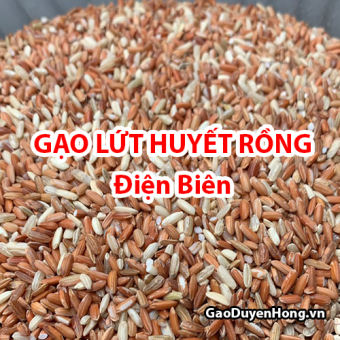 GẠO ĐIỆN BIÊN LỨT DẺO  ( 1kg )