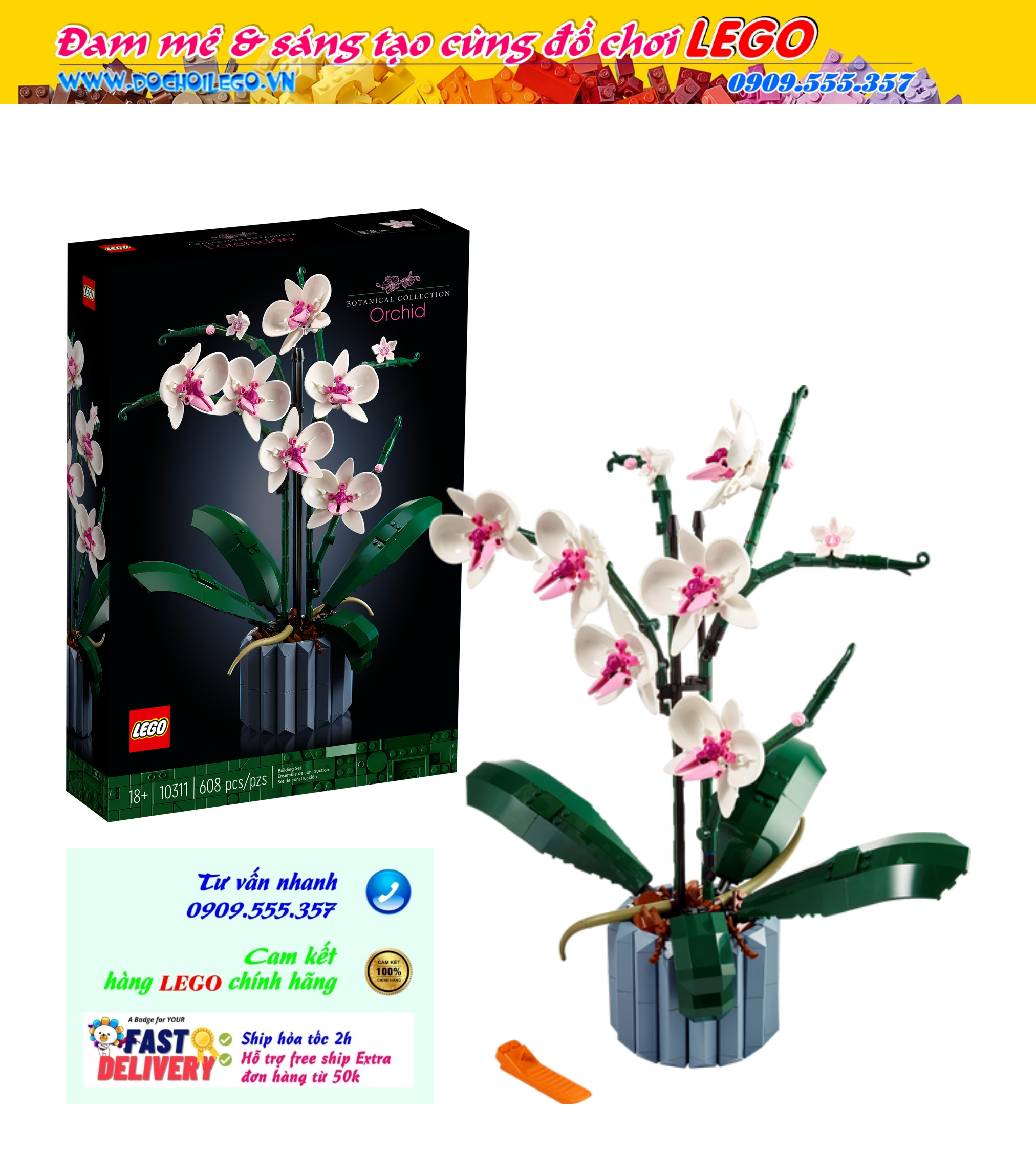 Hoa lan hồ điệp - 10311 lego creator expert botanical collection orchid
