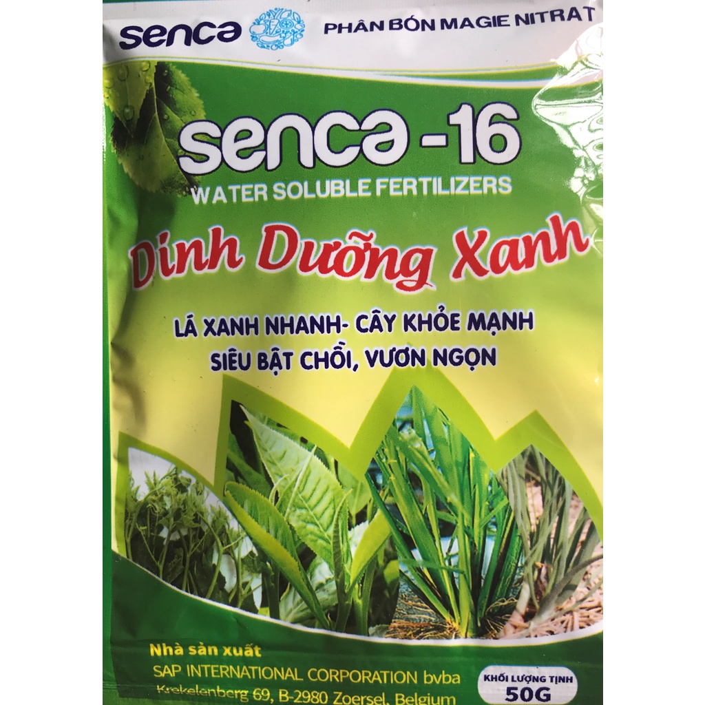Phân bón magie nitrat senca-16 dinh dưỡng xanh lá xanh nhanh - cây khỏe mạnh siêu bật chồi ,vươn ngọn