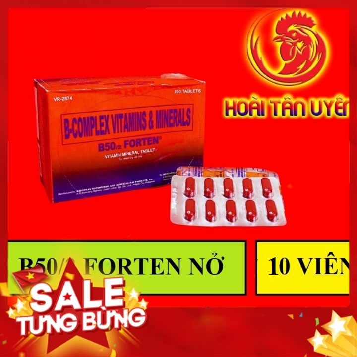 B50/2 forten 10 viên tăng cơ, nở khung xương, tăng nước máu