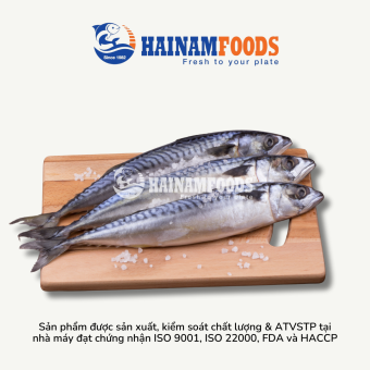 CÁ SABA NAUY NGUYÊN CON 1KG (2-3 con) HẢI NAM