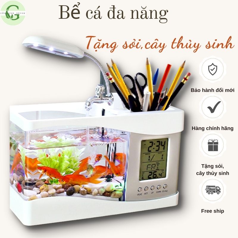 Bể cá mini hồ thuỷ sinh để bàn
